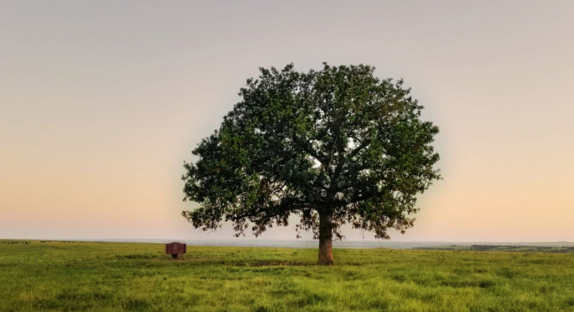 肩負重擔(dān) 推動我國經(jīng)濟、社會<br>環(huán)境全面協(xié)調(diào)可持續(xù)發(fā)展